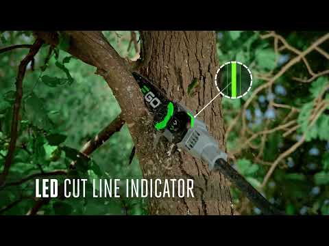 EGO POWER+ 10 Telescopic Pole Saw with 2.5Ah Battery and 210W Standard Charger